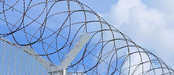 Concertina Wire