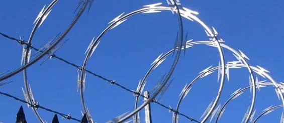 Razor Blade Wire